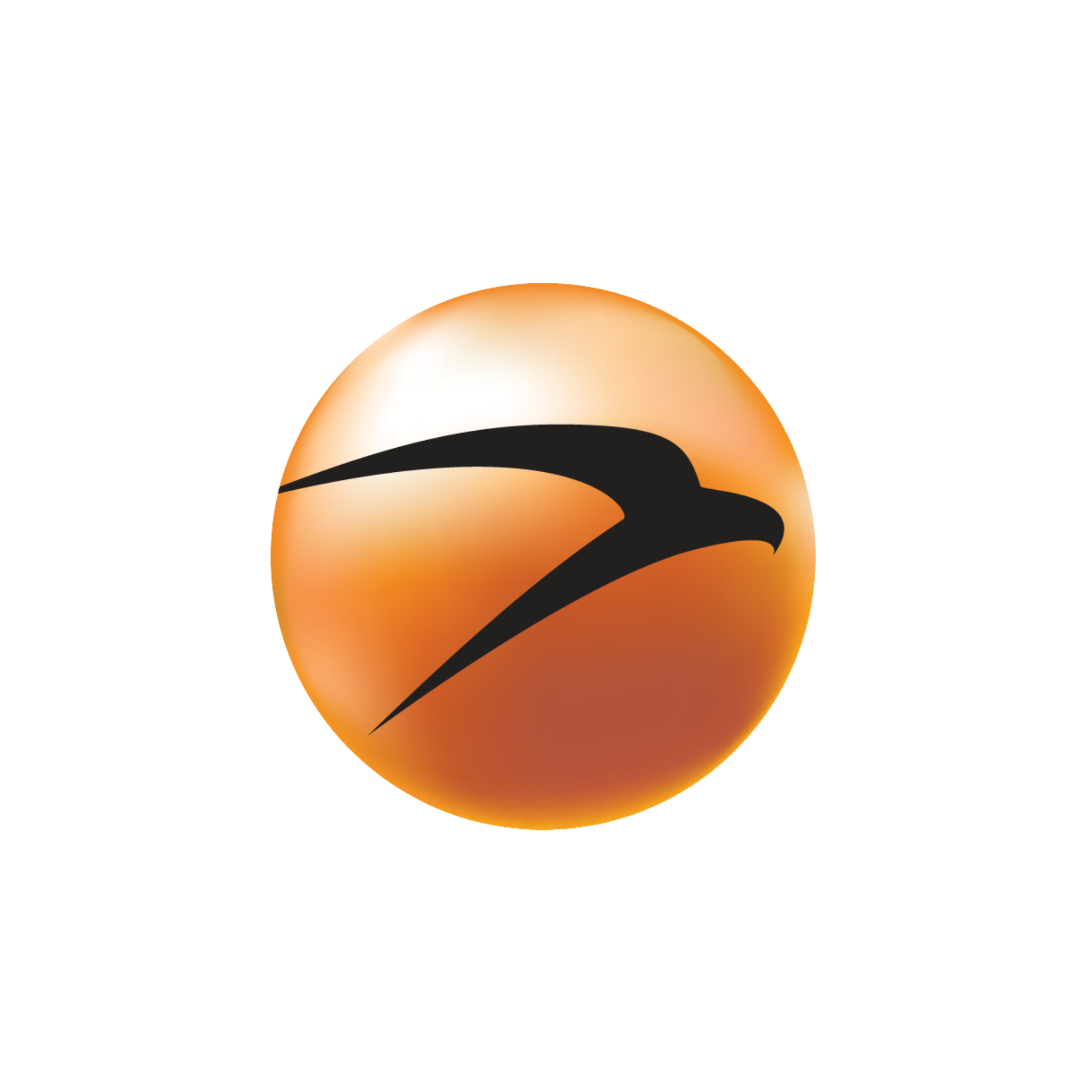 icc partner's logo (4)